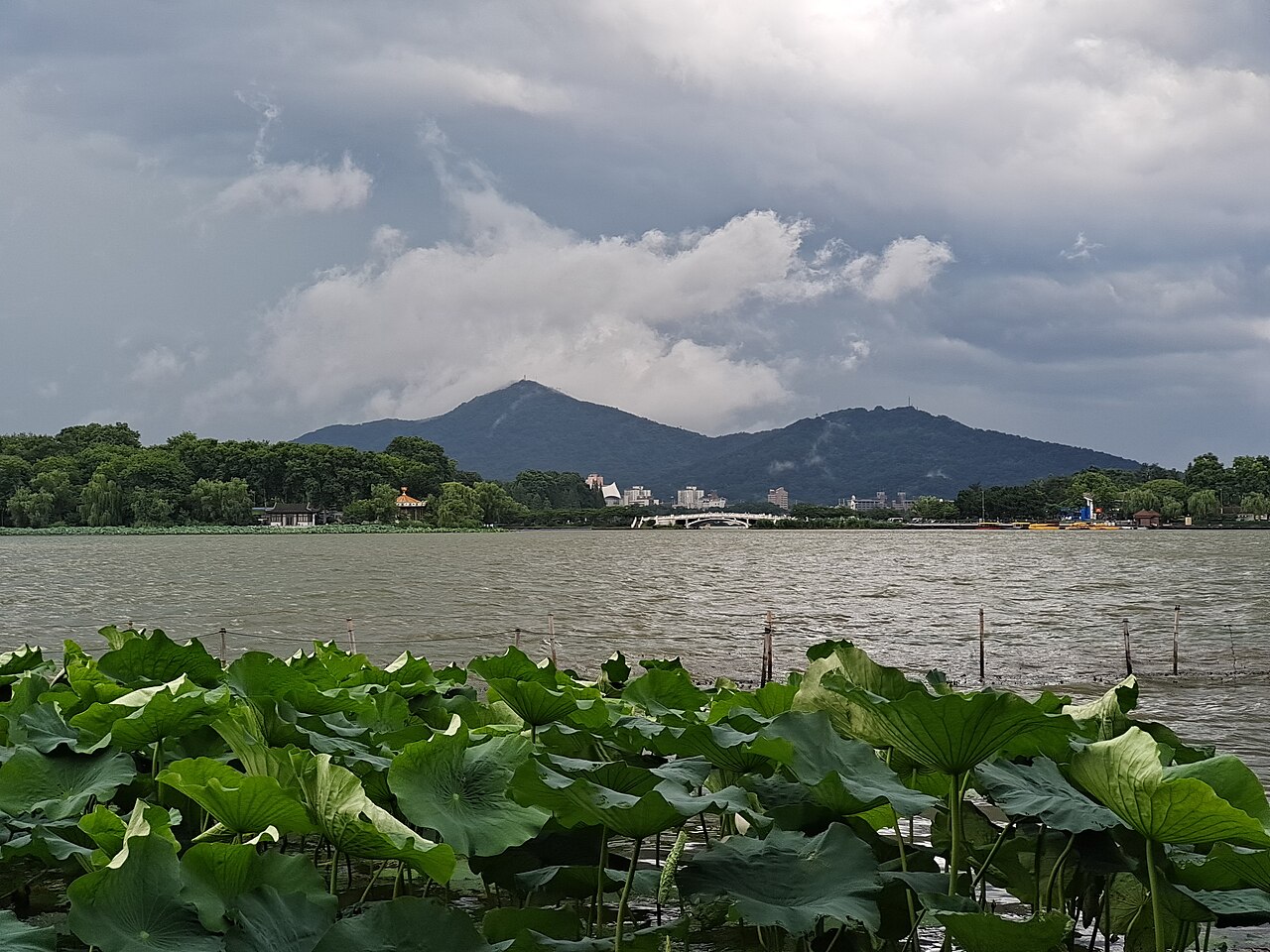 Xuanwu Lake and lotus under Purple Mountain