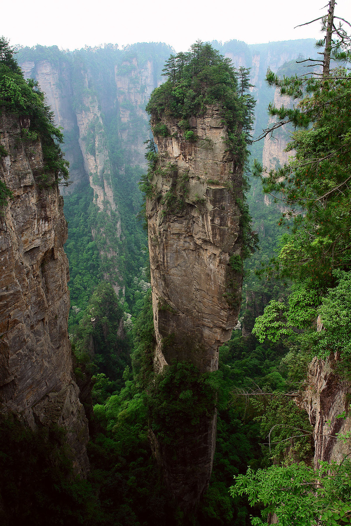 The sandstone pillars of Yuanjiajie, Zhangjiajie
